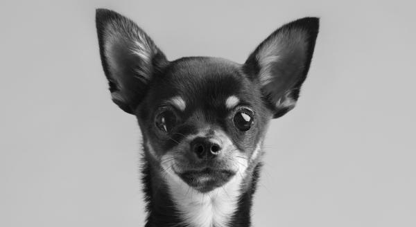 фото: freepik.com/author/freepik фото: freepik.com/author/freepik