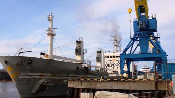 Три тысячи тонн красной рыбы доставили в Архангельск из Владивостока
