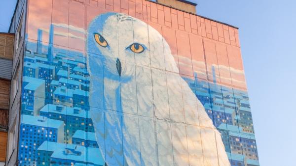 Активисты завершили работу над совиным граффити-полотном в Северодвинске