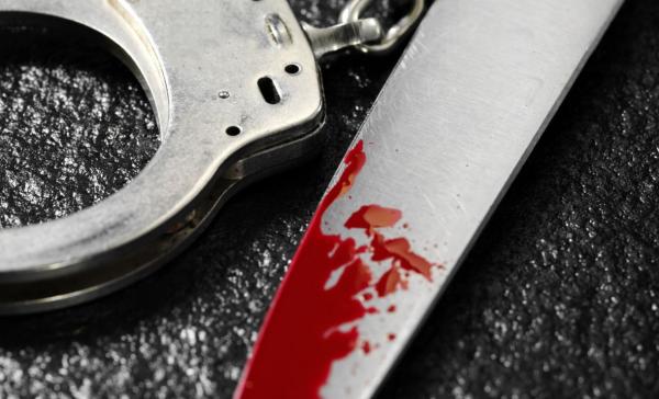 Двоим мужчинам предъявят обвинение за двойное убийство и поджог дома в Шенкурье