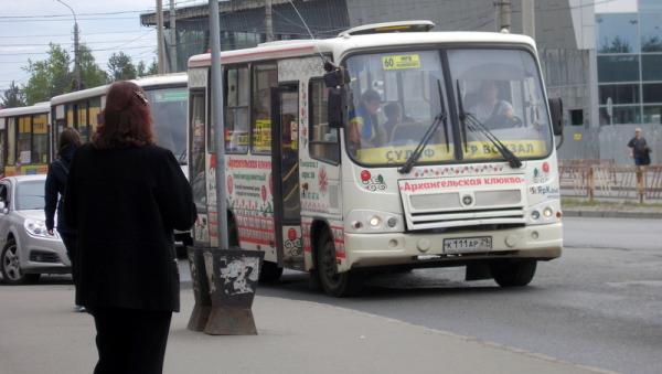 165 нарушений выявили дорожные инспекторы Архангельска в ходе операции «Автобус»