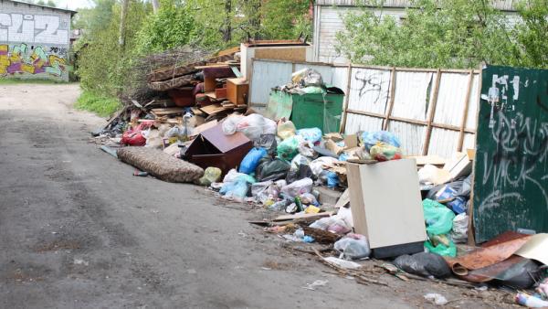 Активисты ОНФ призвали власти Архангельска ликвидировать свалки на улице Тыко Вылки