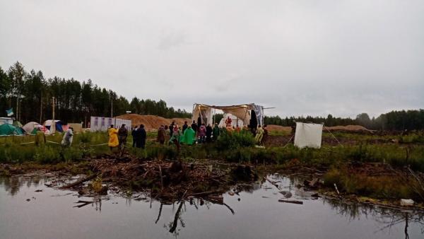 Правительство Поморья рассказало о будущем одного из участков земли на Шиесе
