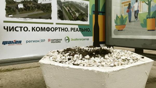 Кто не создает, тот разрушает: вандалы повредили зеленую остановку в Архангельске
