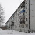 Ад и зловоние: жители Архангельска несколько лет бьются с соседями-маргиналами