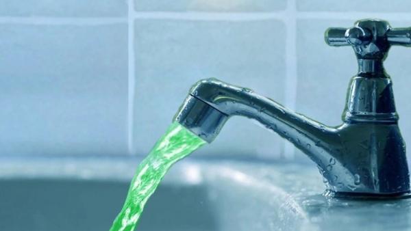 Волга зеленая вода