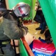 Из горящей квартиры в центре Архангельска пожарные вытащили свинью