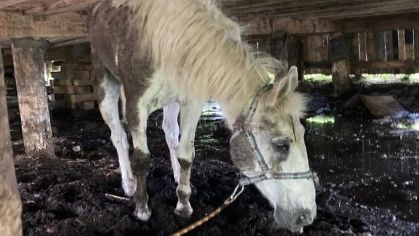 Фото: Служба спасения имени Поливаного 