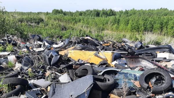 В Архангельской области избавятся от пяти крупных свалок до следующего года 