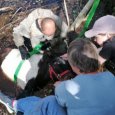 На окраине Архангельска спасатели вызволили из канавы пони