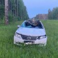 На федеральной трассе в Архангельской области дорогу не поделили лось и легковушка