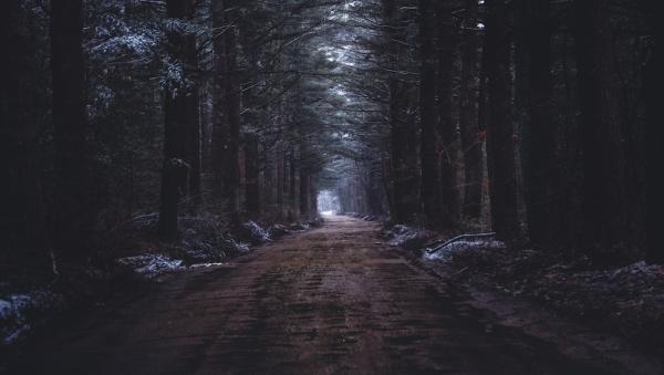 : freepik.com/author/wirestock
