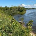 За последние сутки двое северян утонули в реках Архангельской области