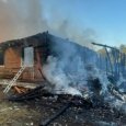 Отравилась угарным газом: в Коношском районе женщина погибла в пожаре 