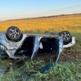 В Архангельской области водитель легковушки съехал с дороги и влетел в дерево