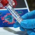 В России предупредили о распространении нового подвида коронавируса
