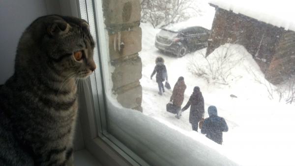 : News29.ru