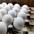 В правительстве потребовали увеличить производство яиц после их резкого подорожания