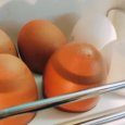 Глава Центробанка России связала рост цен на яйца с высоким спросом