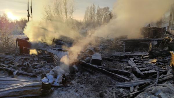 За двое суток в пожарах Архангельской области погибло трое человек