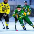 Первую в новом году хоккейную игру архангельский «Водник» начал с уверенной победы