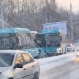 После массовых автобусных ДТП в Архангельске прокуратура взялась за «Рико»
