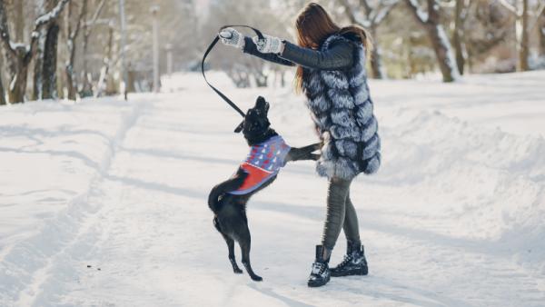 : ru.freepik.com