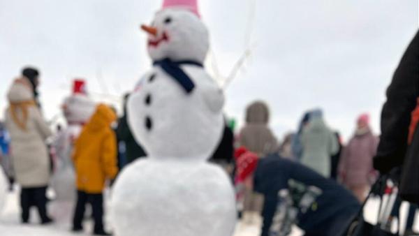 Растаяли как снег: архангелогородцы удивлены «рекордными» тратами на снеговиков