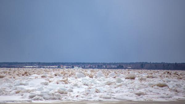 Ледоход на Северной Двине добрался до юга Архангельской области