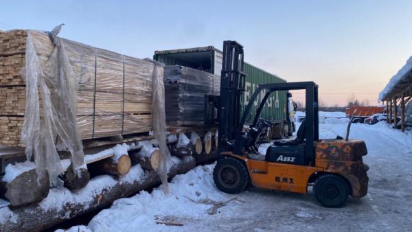 В Поморье осудили водителя погрузчика, насмерть придавившего рабочего древесиной