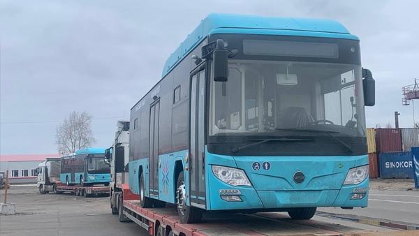 Очередная партия автобусов для работы на муниципальных маршрутах прибыла в Поморье