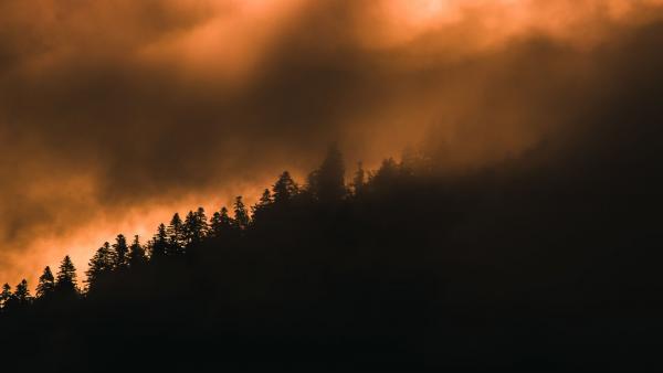 : freepik.com