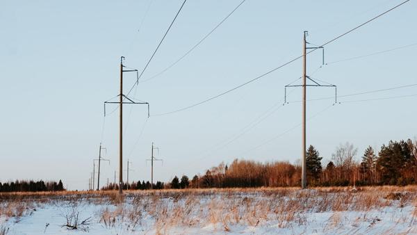 : wirestock (https://ru.freepik.com)