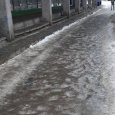 «Берите с собой соль»: ледяной дождь превратил Архангельск в сплошной каток