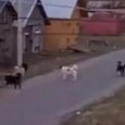  :        