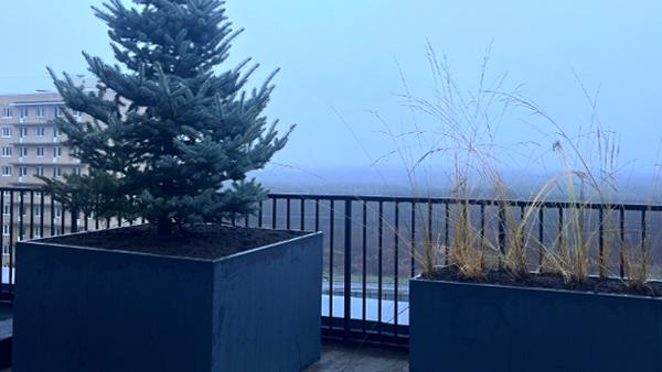 ����: ������ ��������� �����������