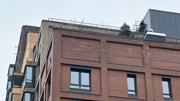 ����: ������ ��������� �����������