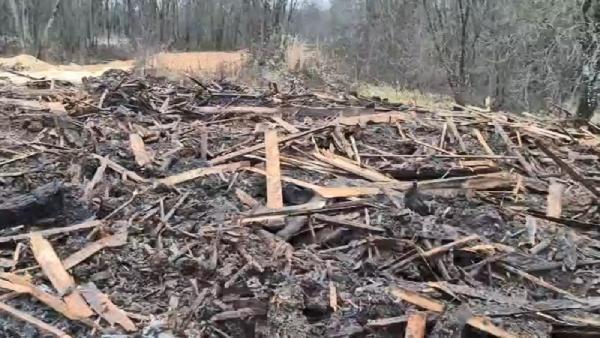 ����: �������� �����