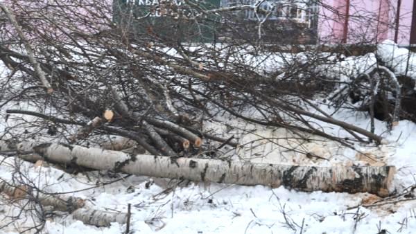 ����: �������� �����