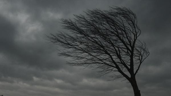 ����������� ������������� ChatGPT
