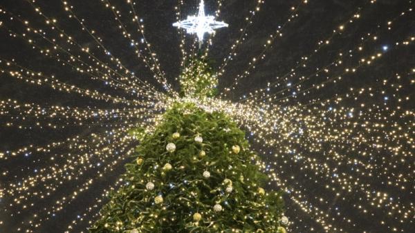 ����: News29