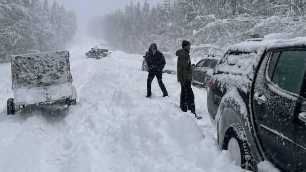 ����: ������������ �������