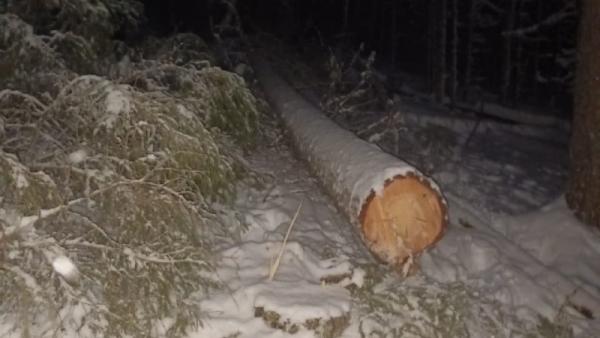 ����: �����-������ ������������� ���������� ������������� �������� �� �� �� � ���