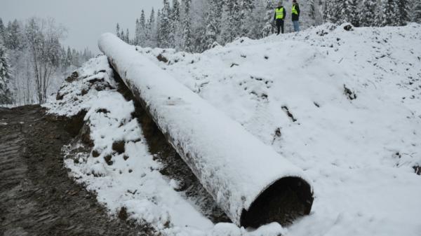 ����: ������� �������+�