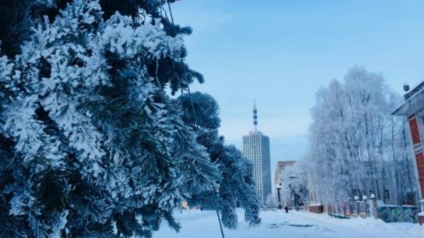 ����: News29