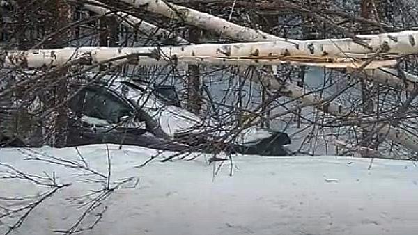 ����: ������ �������� �������