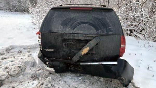 ����: ������������ ����