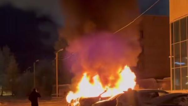 ����: ������������ ��� ��������