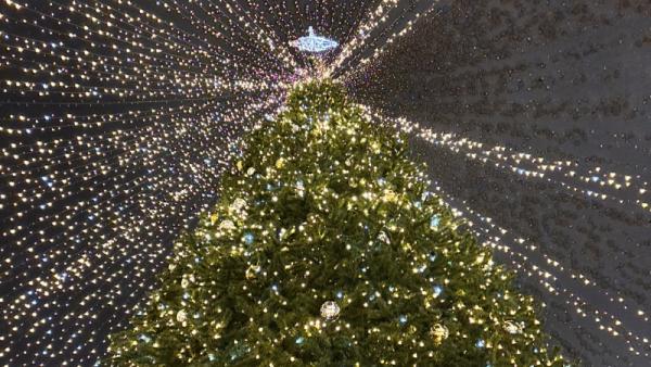 ����: News29