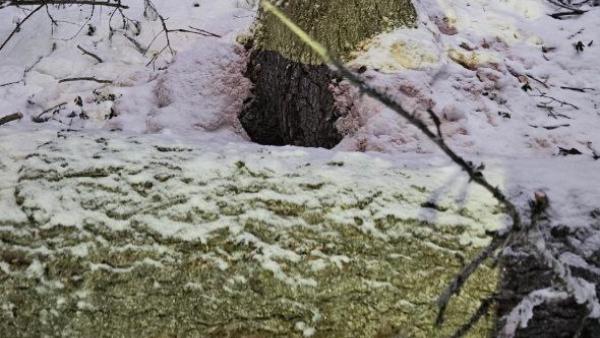 ����: �����-������ ������������� ���������� ������������� �������� �� �� �� � ���